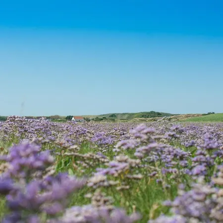 Trautes Haus * Spiekeroog