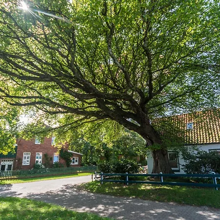 Trautes Haus Διαμέρισμα Spiekeroog