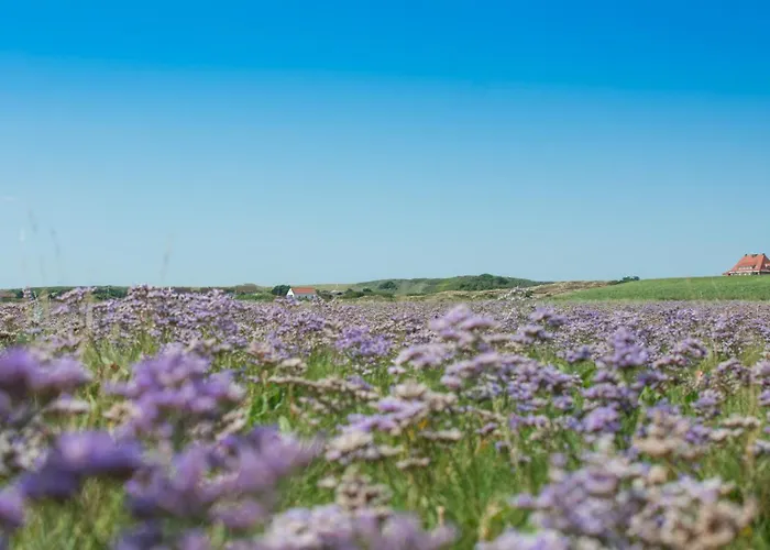 Trautes Haus * Шпикерог