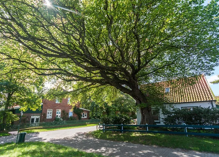 Trautes Haus Апартаменты Шпикерог