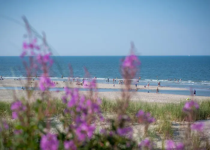 Trautes Haus * Шпикерог